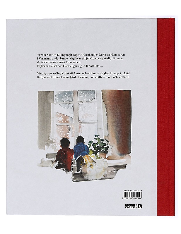 Kattjakten - Lars Lerin - Romaanit ja novellit - 10105414568 - 1