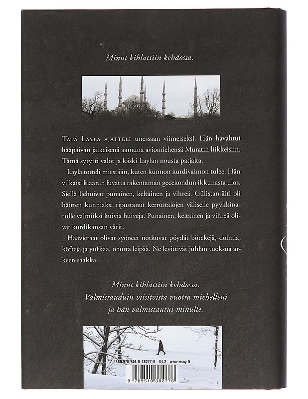 Layla : romaani - Jari Tervo - Romaanit ja novellit - 10105414837 - 1