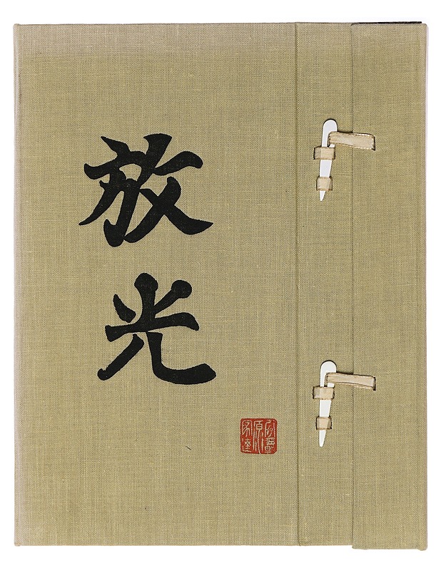 Japanilainen puupiirräntä - Hájek, Lubor - Historiakirjat - 10105415275 - 0