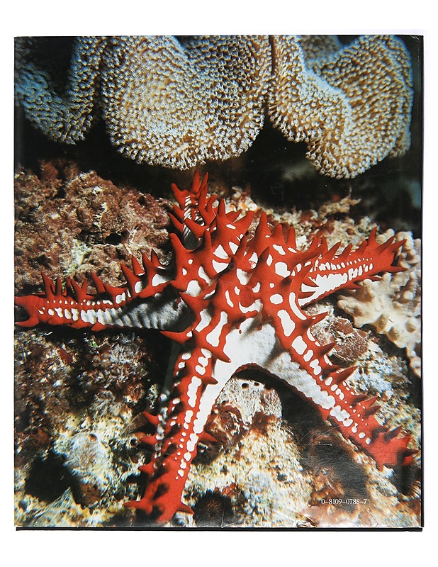 Jacques Cousteau's Calypso - Cousteau, Jacques Yves - Tietokirjat ja oppaat - 10105415464 - 1