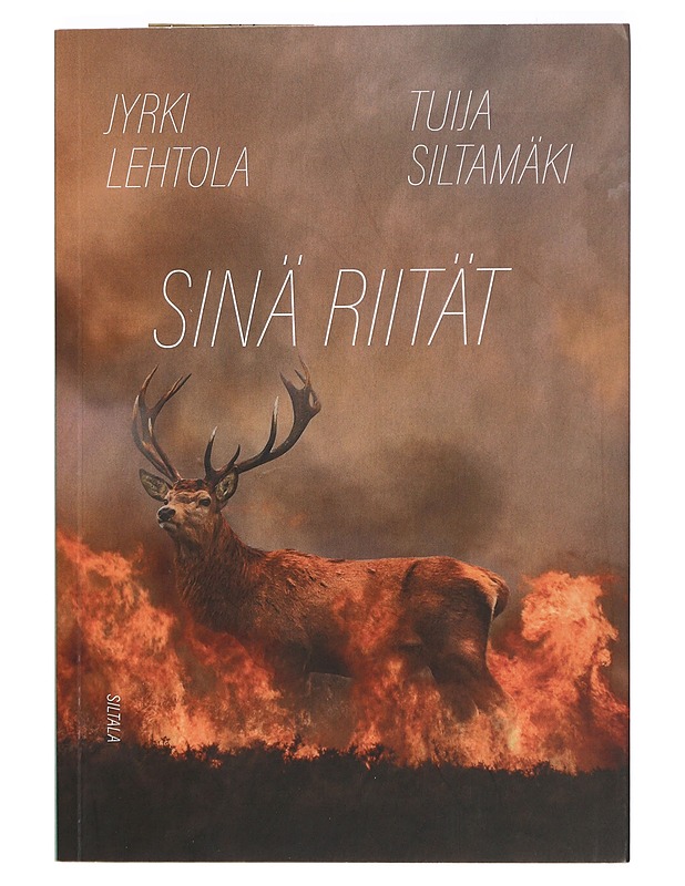 Sinä riität : lopunaikojen opas - Lehtola, Jyrki - Historiakirjat - 10105415483 - 0