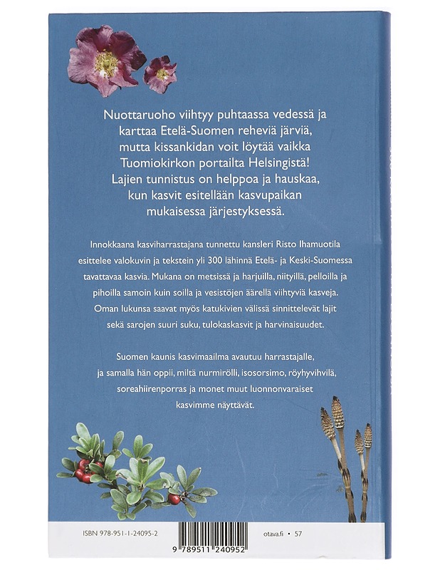 300 kasvia Suomen luonnossa - Risto Ihamuotila - Harrastekirjat - 10105415647 - 1
