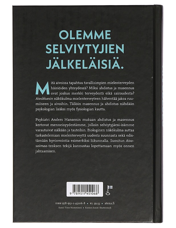 Aivoblues : miksi voimme huonosti, vaikka kaikki on hyvin - Hansen, Anders - Tietokirjat ja oppaat - 10105415772 - 1