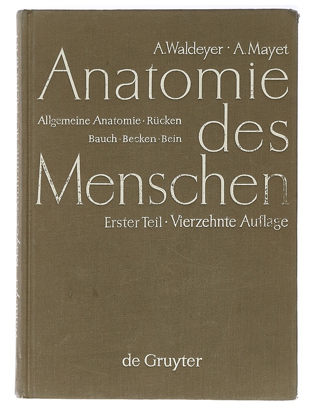 Anatomie des Menschen - Waldeyer, Anton - Tietokirjat ja oppaat - 10105415829 - 0
