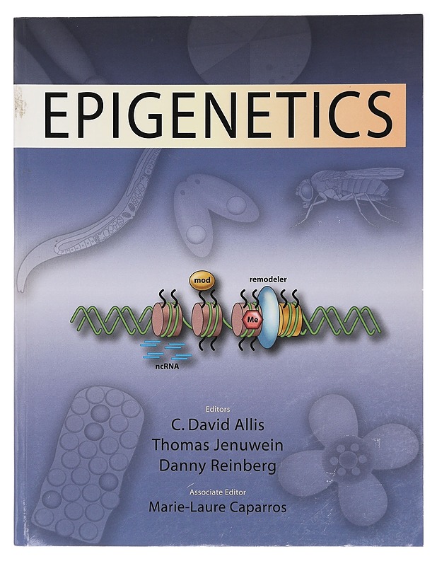 Epigenetics - Allis, C. David - Tietokirjat ja oppaat - 10105415905 - 0