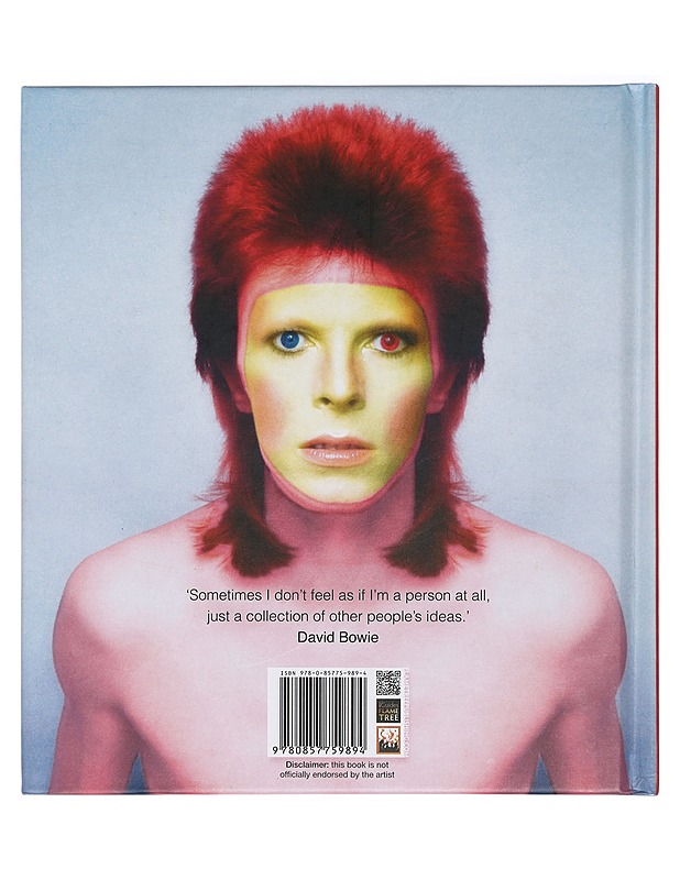 David Bowie : Ever Changing Hero - Egan, Sean - Elämäkerrat ja muistelmat - 10105416062 - 1