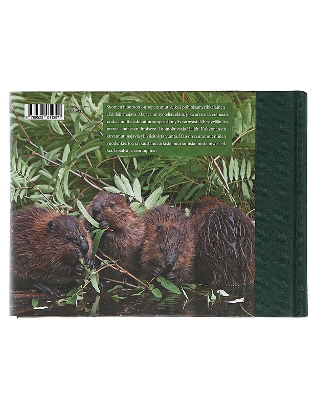 Majavaelämää - Heikki Kokkonen - Tietokirjat ja oppaat - 10105416219 - 1