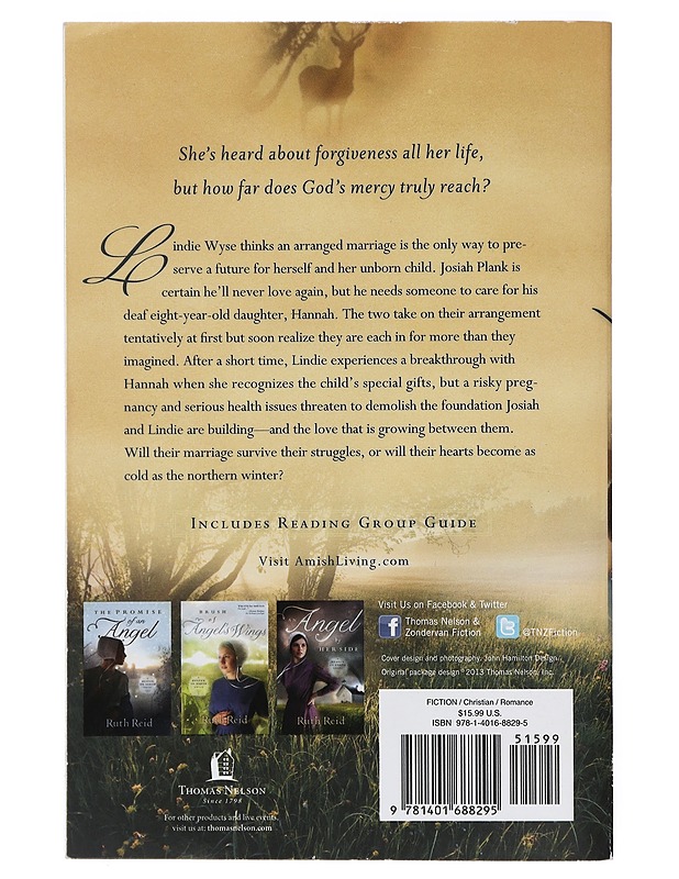 A Miracle of Hope, an Amish Wonders novel - Ruth Reid - Romaanit ja novellit - 10105416334 - 1