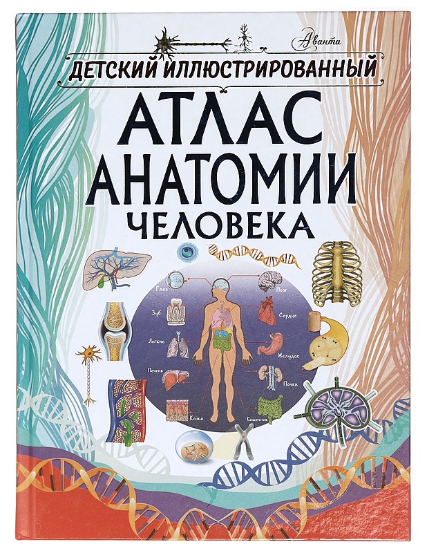 Lasten kuvitettu ihmisen anatomia atlas - Spektor, Anna - Lastenkirjat - 10105416369 - 0