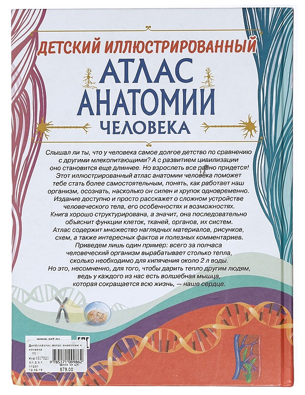 Lasten kuvitettu ihmisen anatomia atlas - Spektor, Anna - Lastenkirjat - 10105416369 - 1