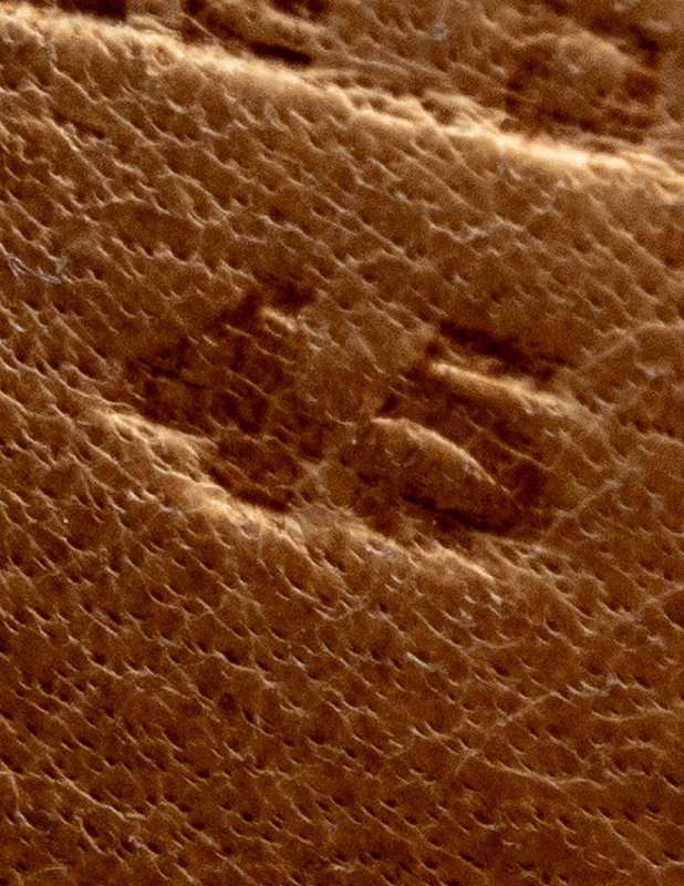 BEXLEY juhlakengät, 45 - Miesten kengät - 10105416896 - 2