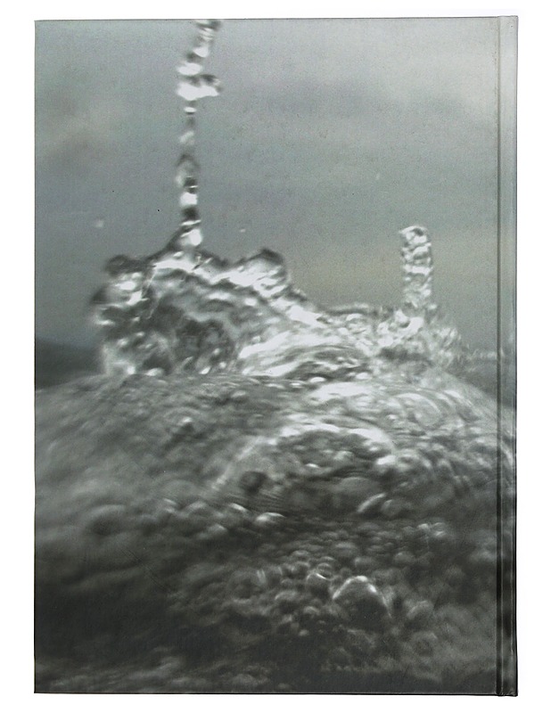 Whisper Not! - Taide- ja kulttuurikirjat - 10105417678 - 1