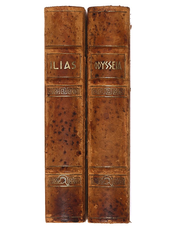 Ilias & Odysseia - Homeros - Runot ja näytelmät - 10105418251 - 1