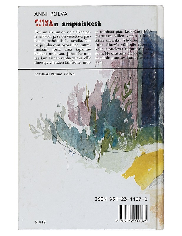 Tiinan ampiaiskesä - Anni Polva - Romaanit ja novellit - 10105418947 - 1