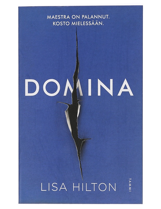 Domina - Hilton, Lisa - Jännitys ja dekkarit - 10105419167 - 0