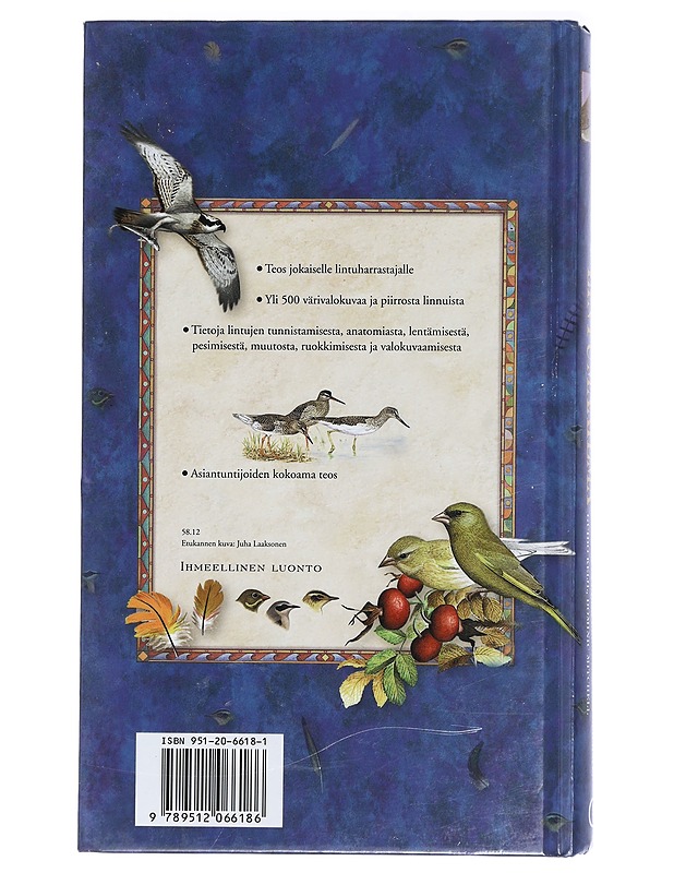 Lintumaailma - Berg, Arnoud B. van den - Tietokirjat ja oppaat - 10105419225 - 1