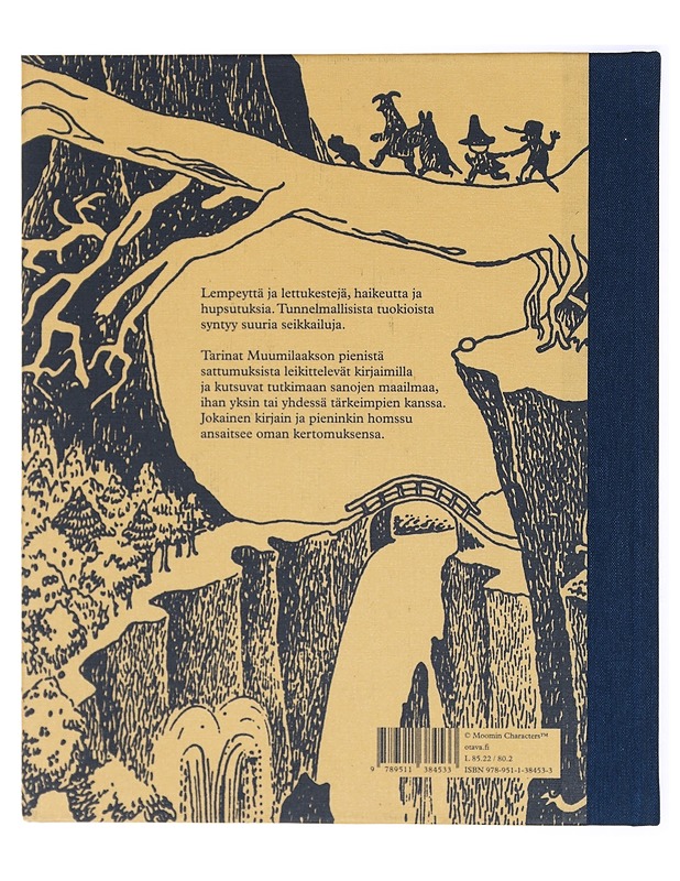 Onnelliset aakkoset - Nivukoski, Paula - Lastenkirjat - 10105419298 - 1