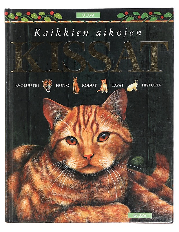 Kaikkien aikojen kissat - O'Neill, Amanda - Historiakirjat - 10105419306 - 0