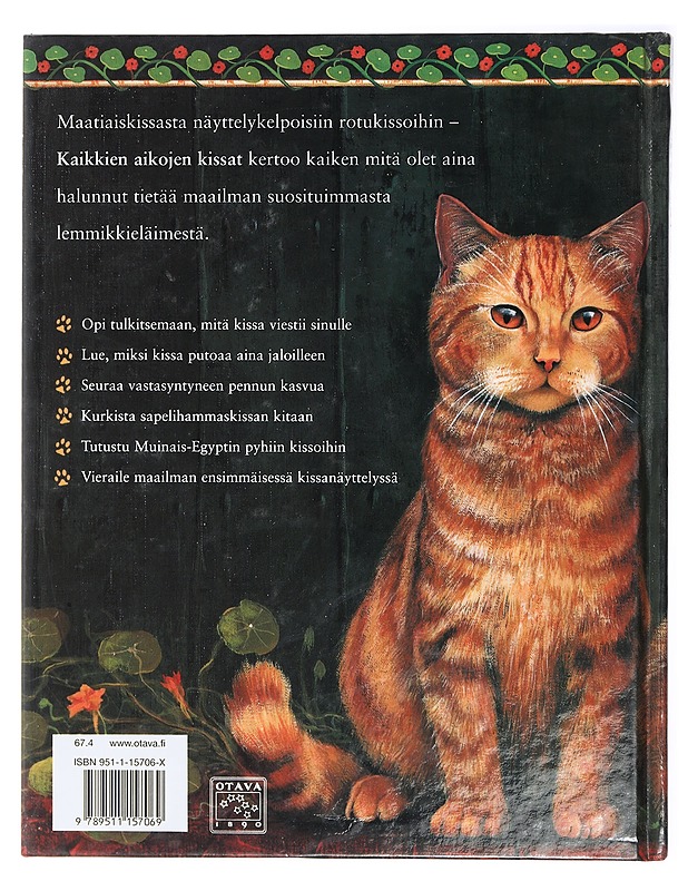 Kaikkien aikojen kissat - O'Neill, Amanda - Historiakirjat - 10105419306 - 1