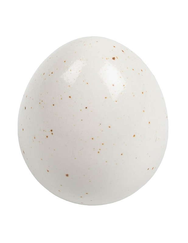 PENTIK STUDIO Muna - Koriste-esineet - 10105419422 - 0