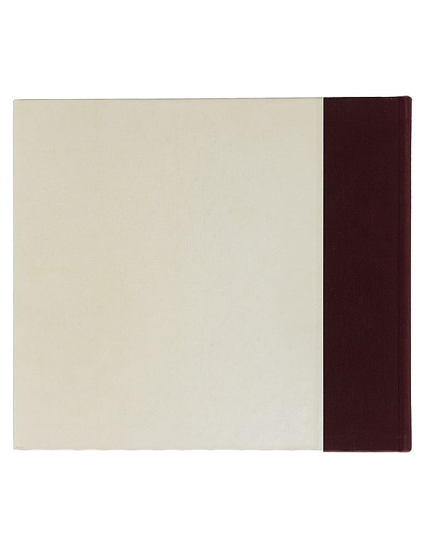 Naisten huoneet - Taidetta Ateneumin kokoelmista 1840-1950 - Tietokirjat - 10105419439 - 1