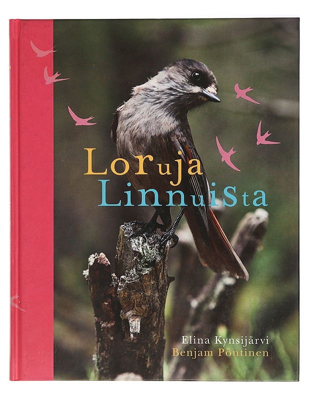 Loruja linnuista - Kynsijärvi, Elina - Lastenkirjat - 10105419675 - 0