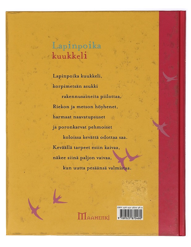 Loruja linnuista - Kynsijärvi, Elina - Lastenkirjat - 10105419675 - 1