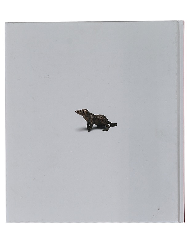 Pirkko Nukari - Nukari, Pirkko - Lastenkirjat - 10105419860 - 1