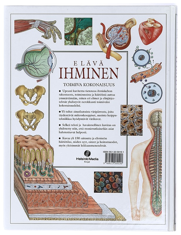 Elävä ihminen : toimiva kokonaisuus - Aito, Henrikka - Tietokirjat ja oppaat - 10105419869 - 1