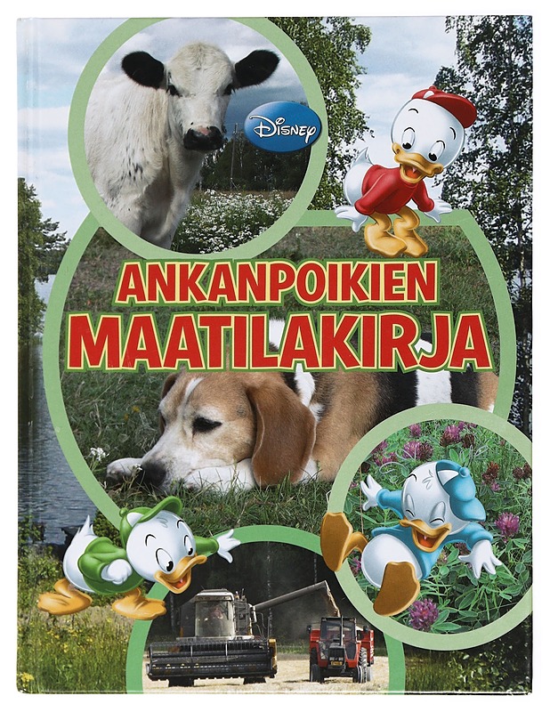 Ankanpoikien maatilakirja - Heimonen, Satu - Lastenkirjat - 10105420217 - 0