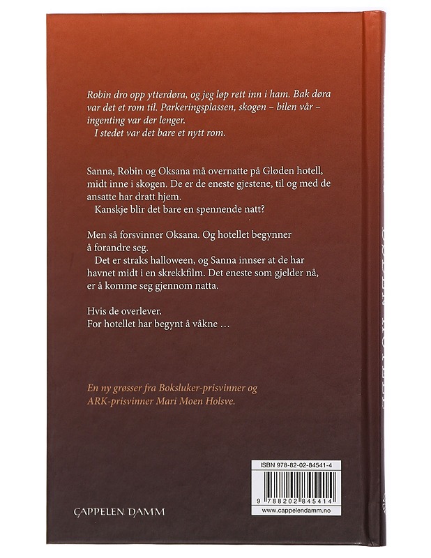 Døden hotell - Holsve, Mari Moen - Romaanit ja novellit - 10105420246 - 1