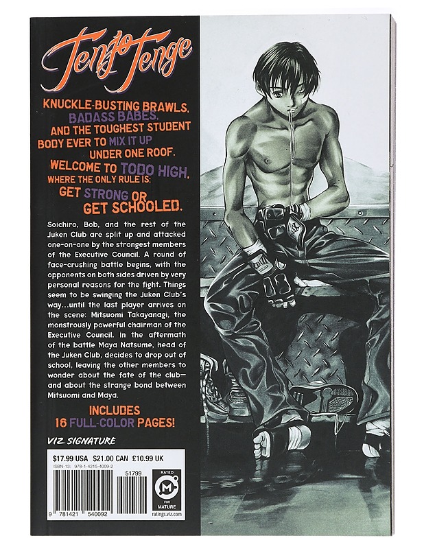 Tenjo Tenge, Vol. 2 - Oh!great - Sarjakuvat - 10105420257 - 1