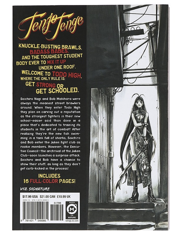 Tenjo Tenge, Vol. 1 - Oh!great - Sarjakuvat - 10105420266 - 1