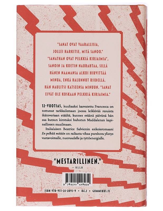 En pelkää mitään - Salvioni, Beatrice - Romaanit ja novellit - 10105420352 - 1