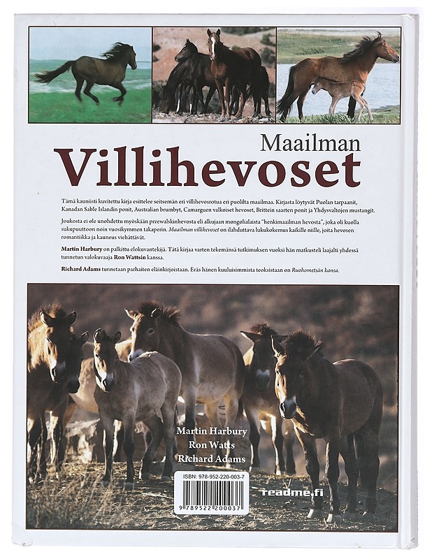 Maailman villihevoset - Harbury, Martin - Lemmikki- ja luontokirjat - 10105420379 - 1