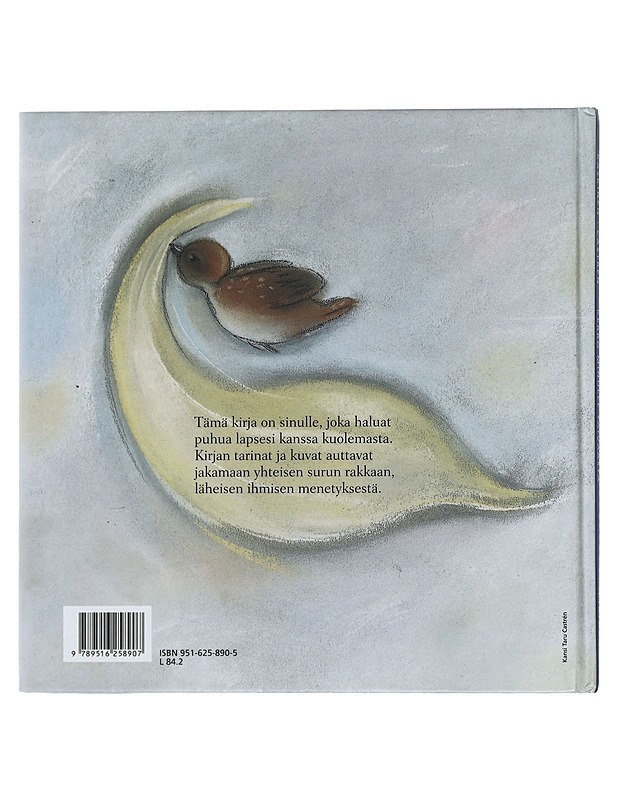 Kerro minulle taivaasta : kun kuolema koskettaa - Kaskinen, Anna-Mari - Tietokirjat ja oppaat - 10105420524 - 1