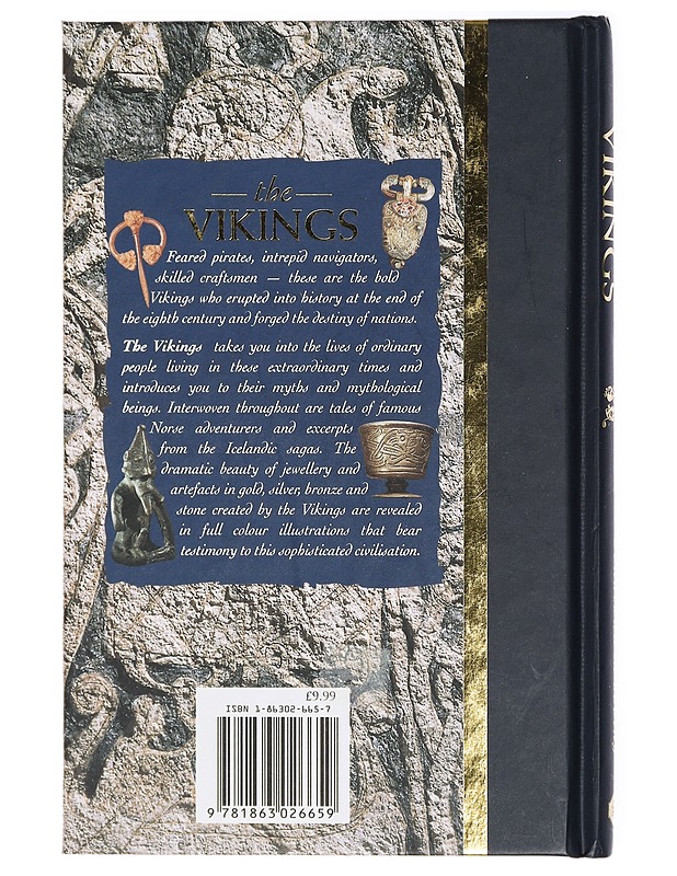 The Vikings- Jonathan Wooding - Tietokirjat - 10105420531 - 1