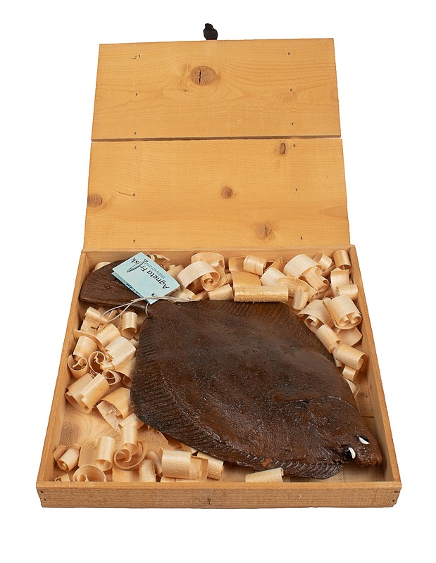 AGNETA FRISK lahjapakkaus - Muut sisustustavarat - 10105420611 - 0