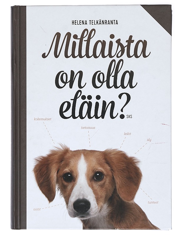 Millaista on olla eläin? - Helena Telkänranta - Harrastekirjat - 10105420660 - 0