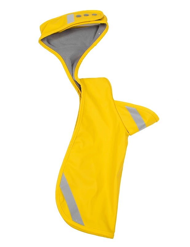 JACSON koiran sadetakki - Lemmikkitarvikkeet - 10105420786 - 1