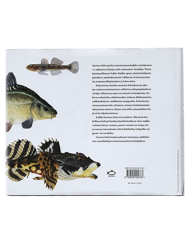 Suomen kalat - Yrjölä, Sakke - Lemmikki- ja luontokirjat - 10105420806 - 1