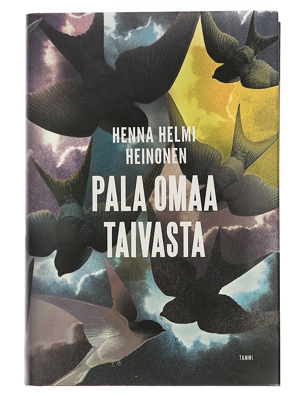 Pala omaa taivasta - Heinonen, Henna Helmi - Kirja lahjaksi - 10105421825 - 0