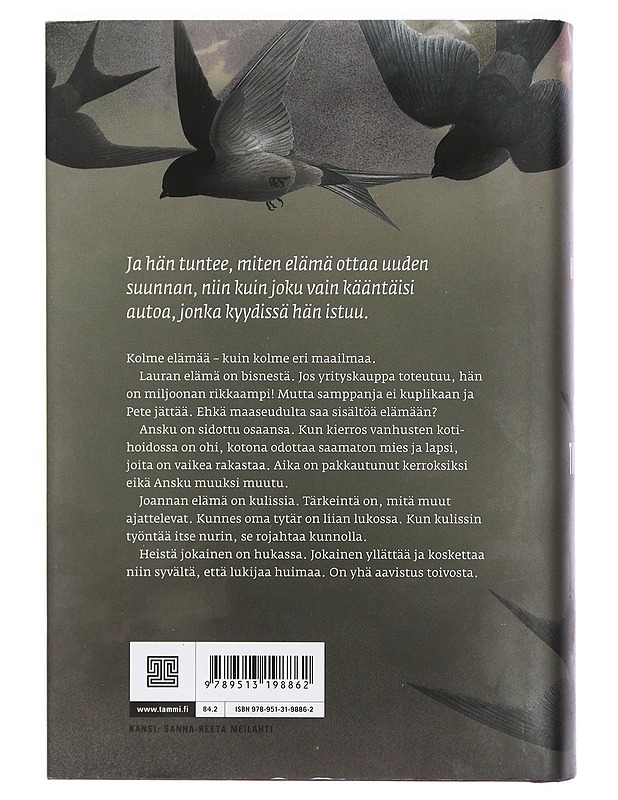 Pala omaa taivasta - Heinonen, Henna Helmi - Kirja lahjaksi - 10105421825 - 1