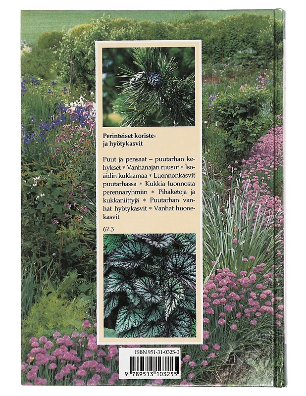 Ukonhattu ja ahkeraliisa : perinteiset koriste- ja hyötykasvit - Alanko, Pentti - Puutarha- ja remontointikirjat - 10105421894 - 1