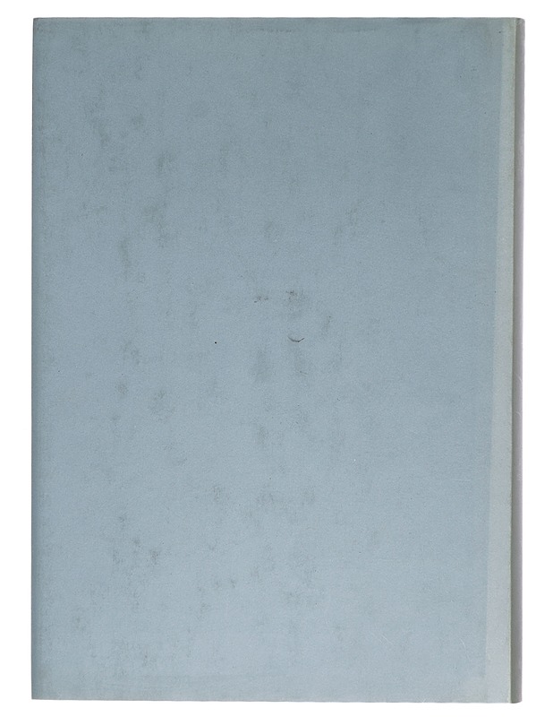 Italian kirjallisuutta suomen kielellä 1801-2000 - Rolando Pieraccini - Tietokirjat ja oppaat - 10105422142 - 1