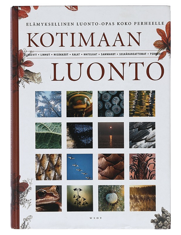 Kotimaan luonto - Björklund, Tom - Tietokirjat ja oppaat - 10105422222 - 0