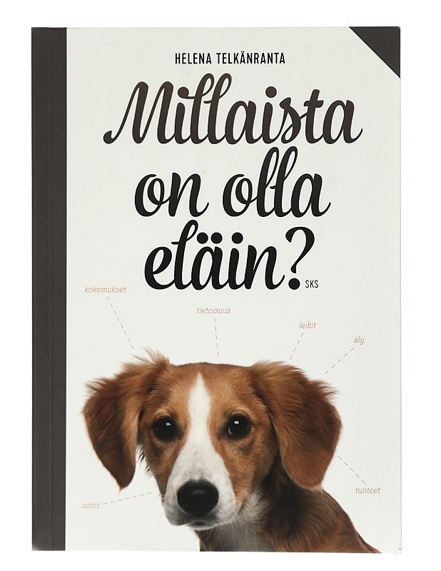 Millaista on olla eläin? - Helena Telkänranta - Harrastekirjat - 10105422705 - 0