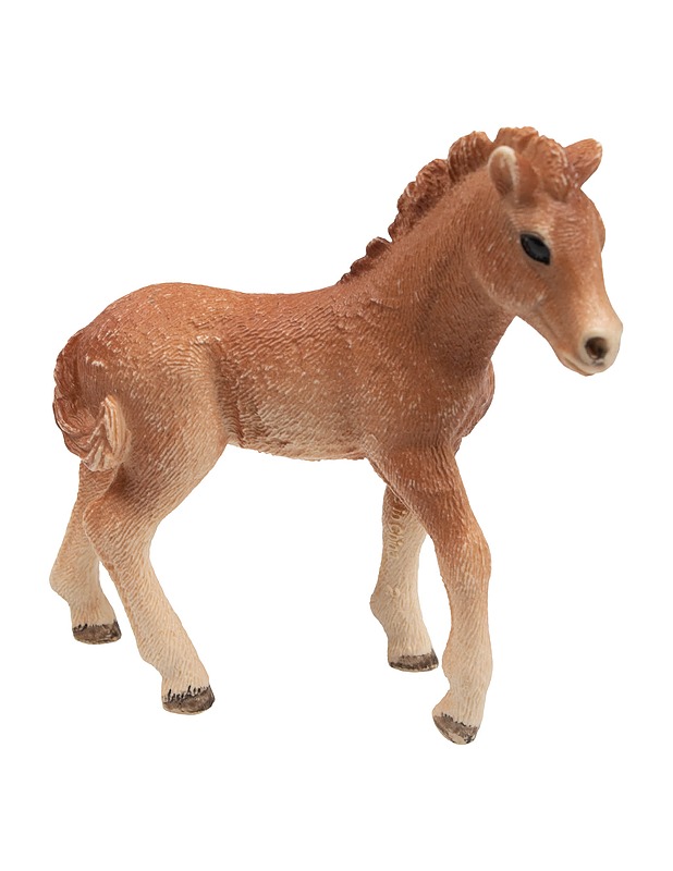 SCHLEICH Islanninhevosen varsa figuuri - Lasten lelut - 10105422713 - 0