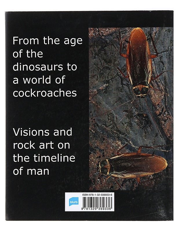 The Memory of Stone: Markings on the rock - Luoma-aho, Erkki - Tietokirjat ja oppaat - 10105422833 - 1