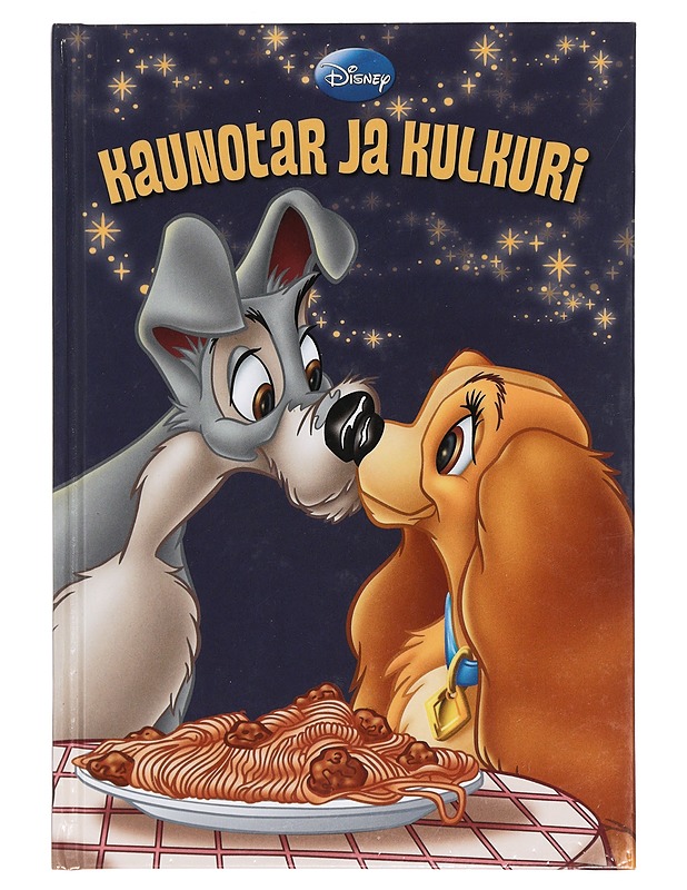 Kaunotar ja Kulkuri - Autio, Hanna - Lastenkirjat - 10105423022 - 0